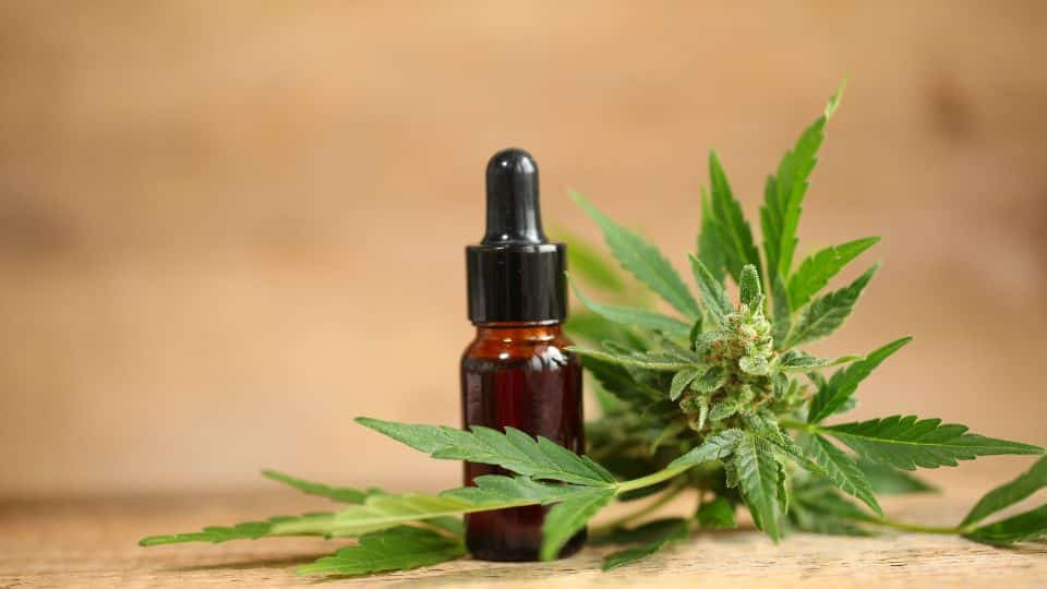 שמן CBD